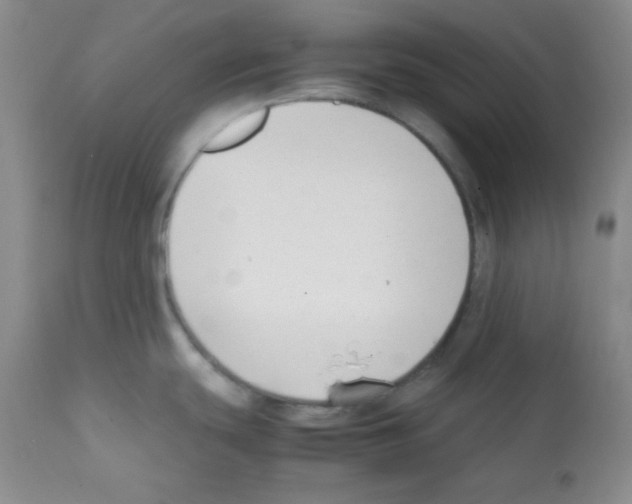 X0000112051439200909150952