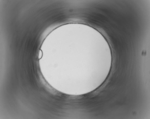 X0000112051440200909150952