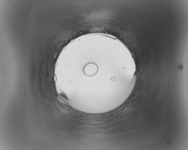 X0000112051441200909150952