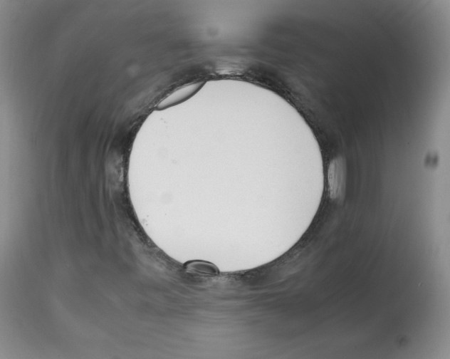 X0000112051443200909150952
