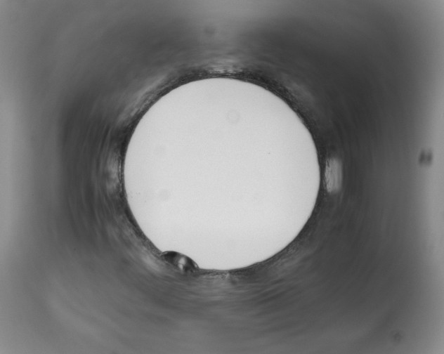 X0000112051444200909150952