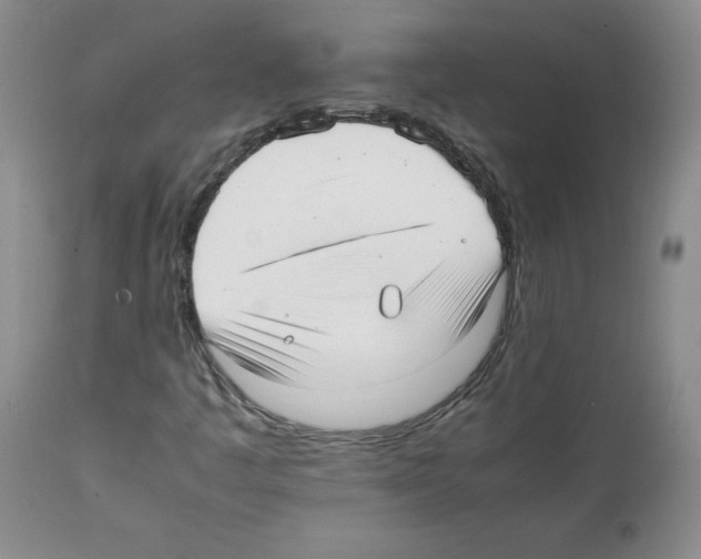 X0000112051445200909150952