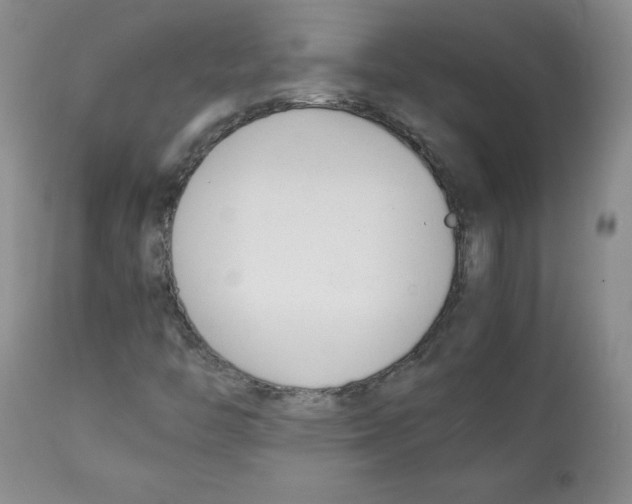 X0000112051446200909150951