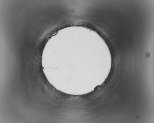 X0000112051447200909150951