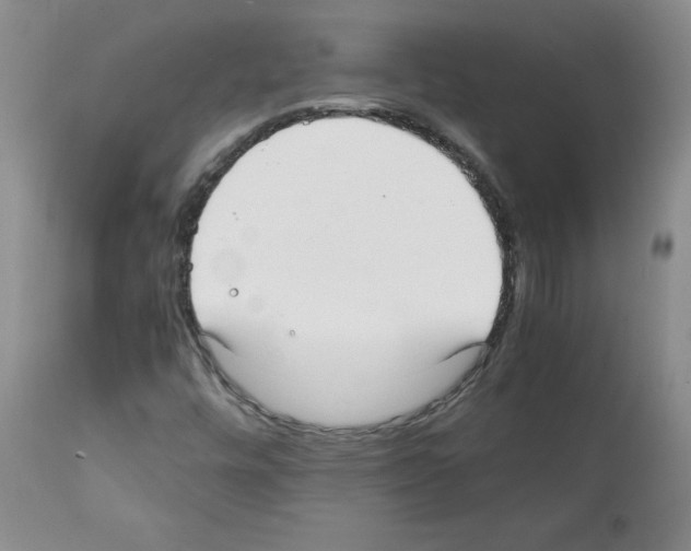 X0000112051448200909150951