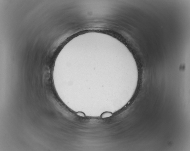X0000112051449200909150951
