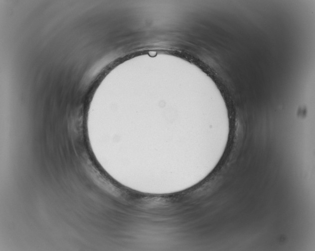 X0000112051450200909150951