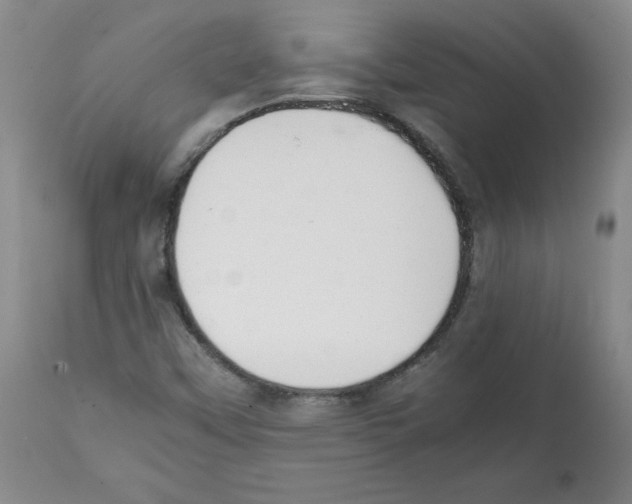 X0000112051451200909150951