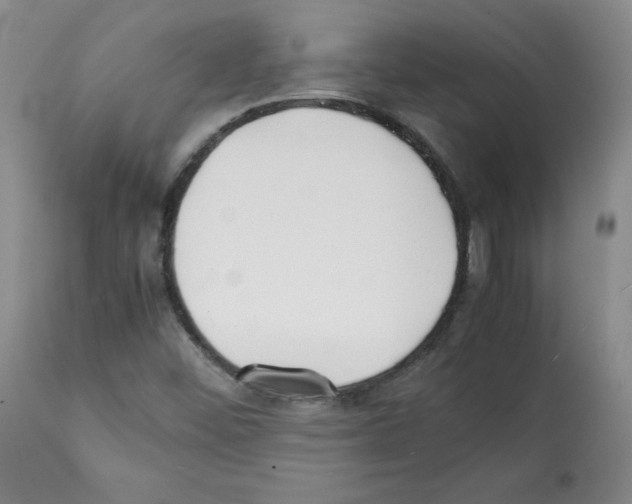 X0000112051452200909150951