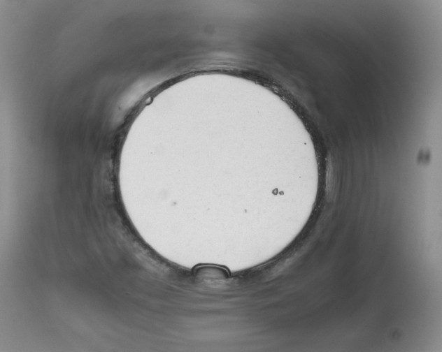 X0000112051453200909150951