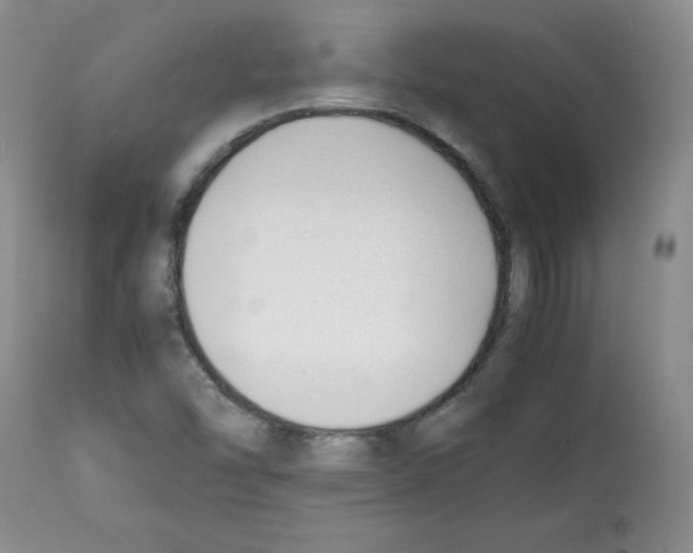 X0000112051454200909150951