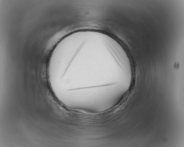X0000112051455200909150951