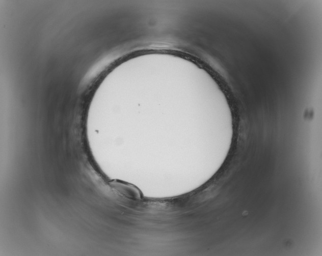 X0000112051456200909150951