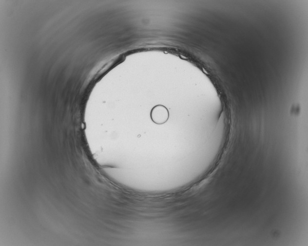 X0000112051457200909150951