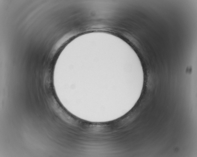 X0000112051458200909150951
