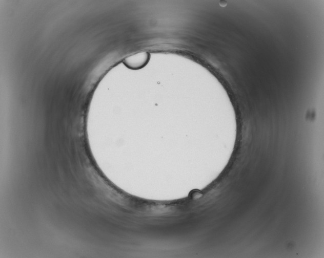 X0000112051459200909150951