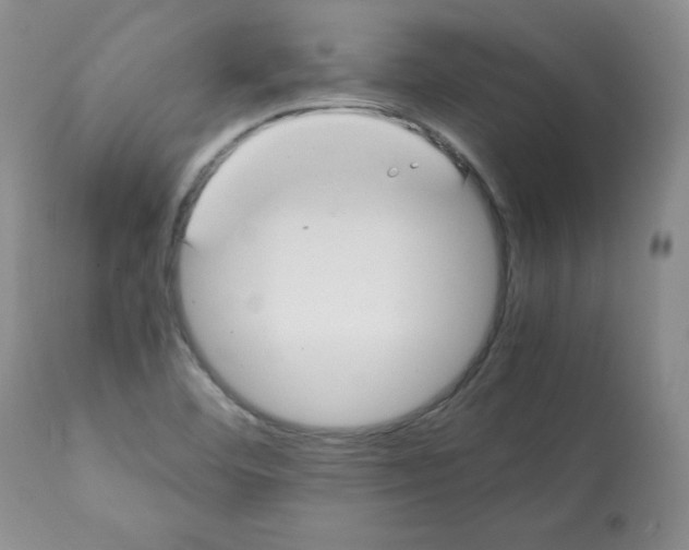 X0000112051460200909150951