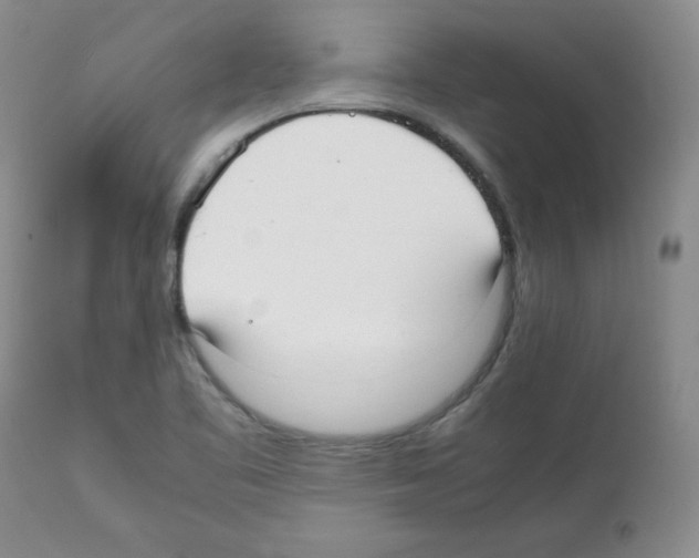 X0000112051461200909150951
