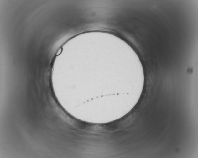 X0000112051463200909150951