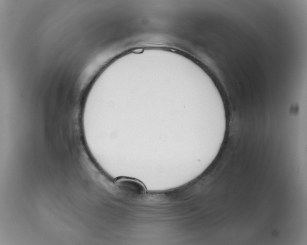 X0000112051464200909150951