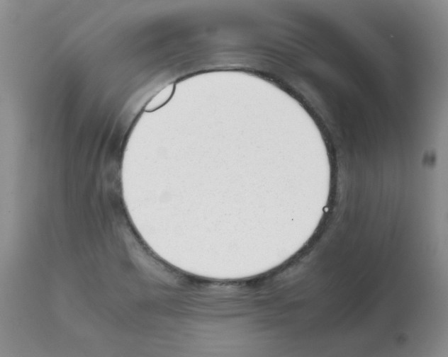 X0000112051465200909150951