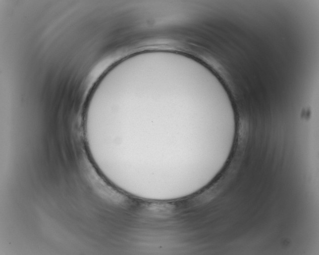 X0000112051466200909150951