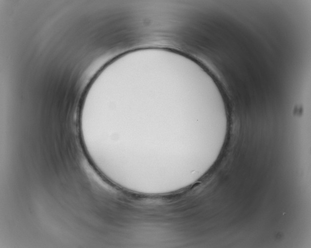 X0000112051468200909150951