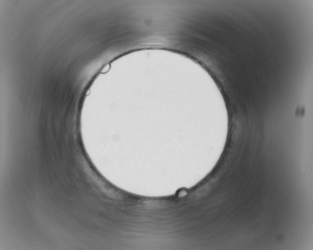 X0000112051469200909150951
