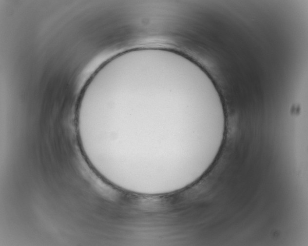 X0000112051470200909150951