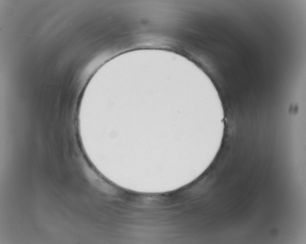 X0000112051471200909150951