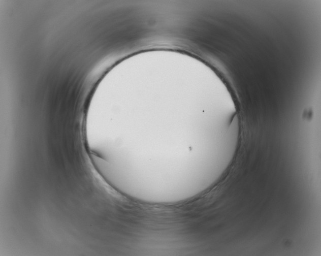 X0000112051472200909150951