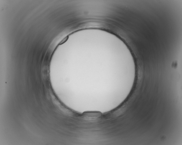 X0000112051473200909150951