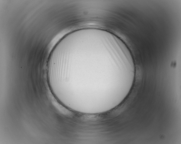 X0000112051474200909150951