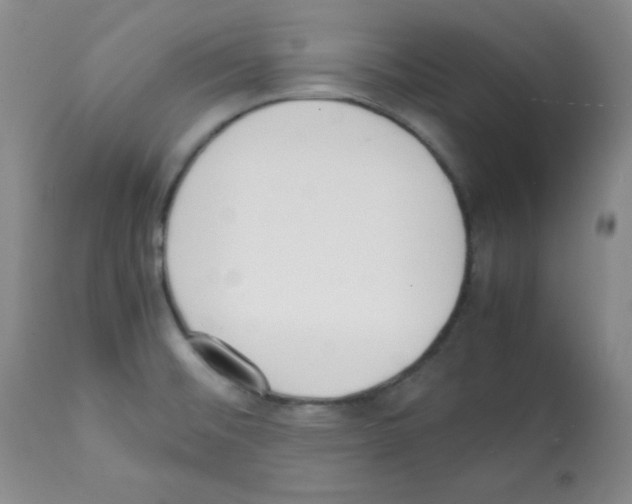 X0000112051476200909150951
