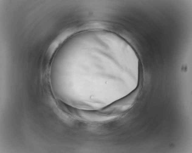 X0000112051477200909150951