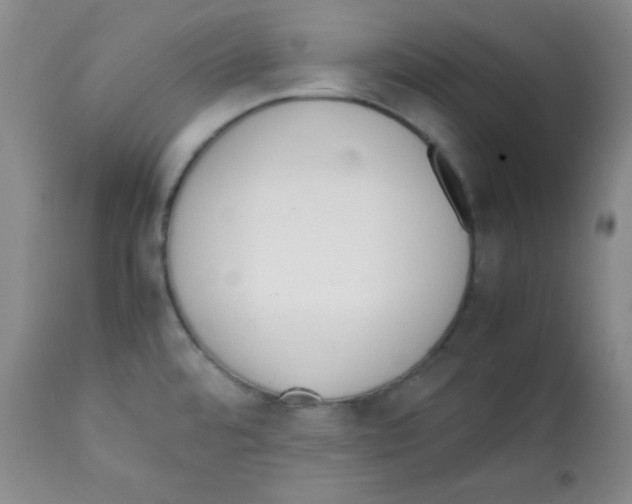 X0000112051480200909150951
