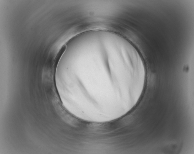 X0000112051481200909150951