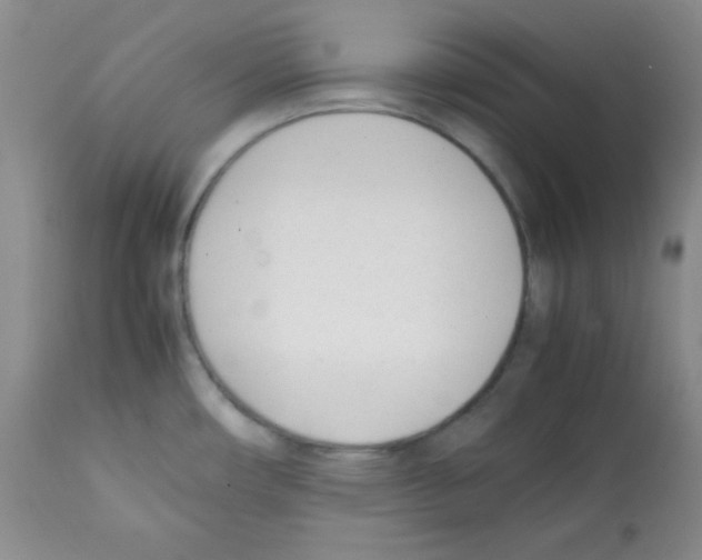 X0000112051482200909150951