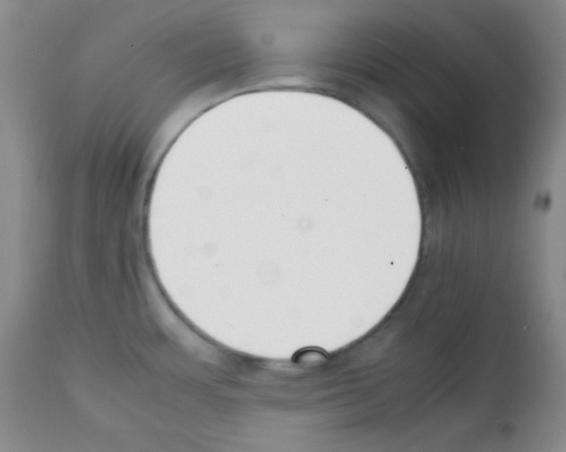 X0000112051483200909150951