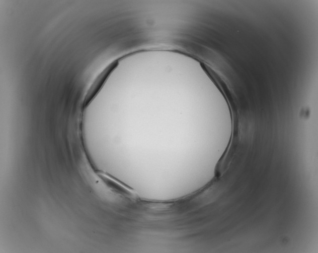 X0000112051484200909150951