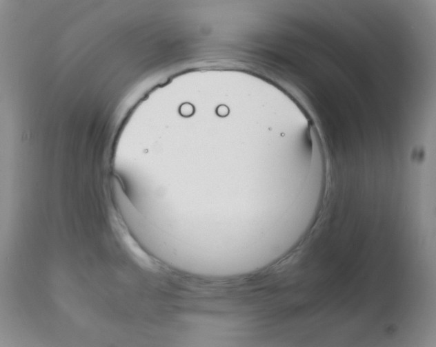 X0000112051485200909150951