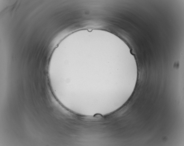 X0000112051487200909150951