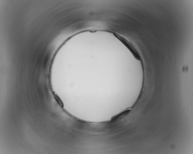 X0000112051488200909150951