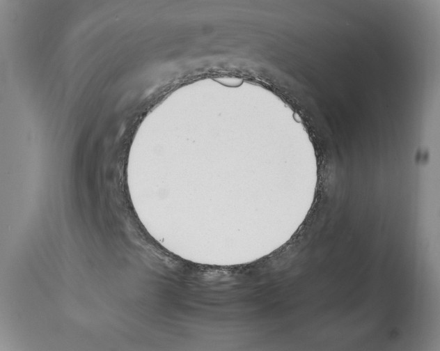 X0000112051489200909150950