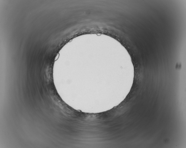 X0000112051490200909150950