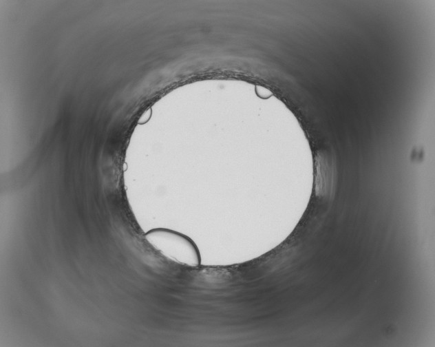 X0000112051491200909150950