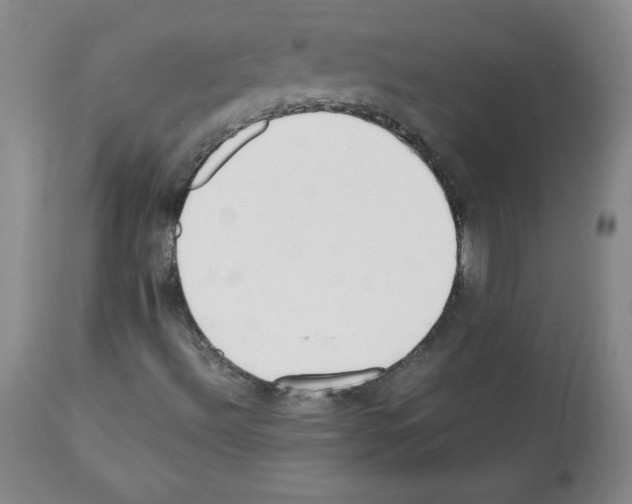 X0000112051492200909150950