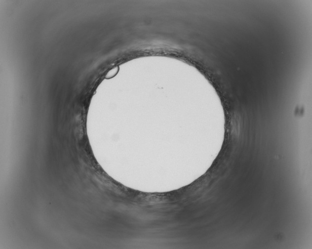 X0000112051493200909150950