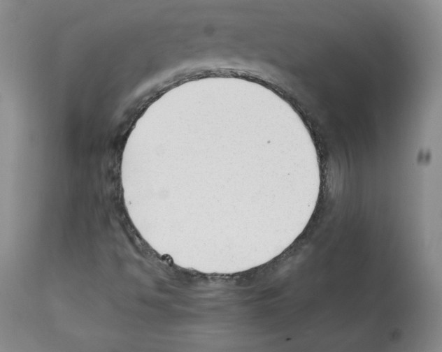 X0000112051494200909150950