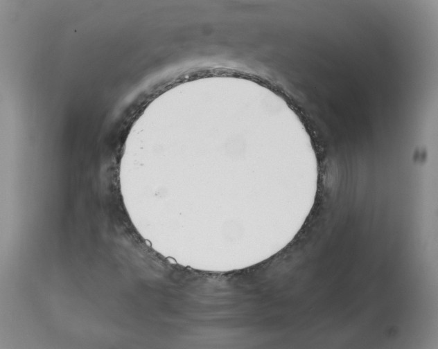 X0000112051495200909150950